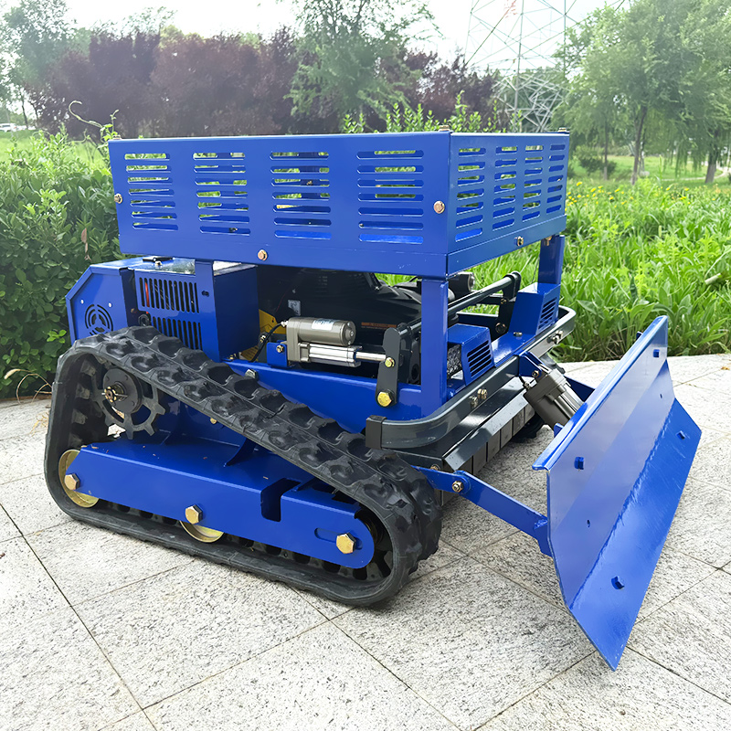 High Quality Self-Propelled  R - огляд і ціна Lawn Mower Battery