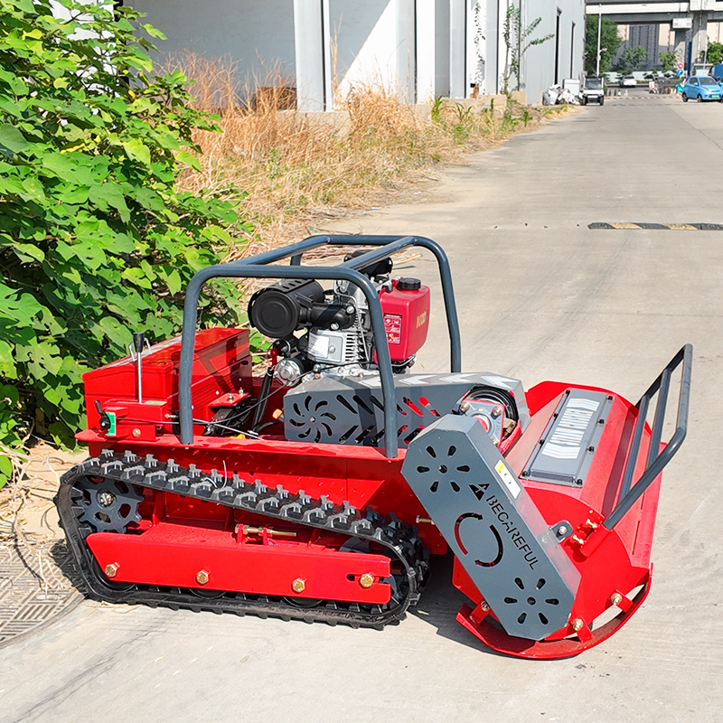 Customized wireless 4-stroke l - огляд і ціна Hedge Trimmer Cordless
